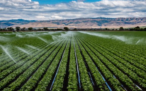 Sprinkler Irrigation